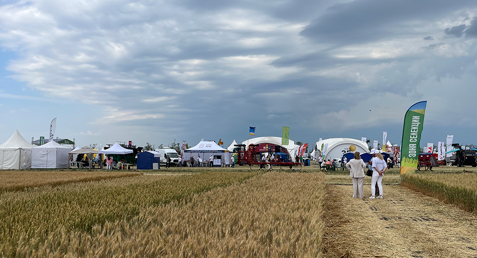 2 Донской.png