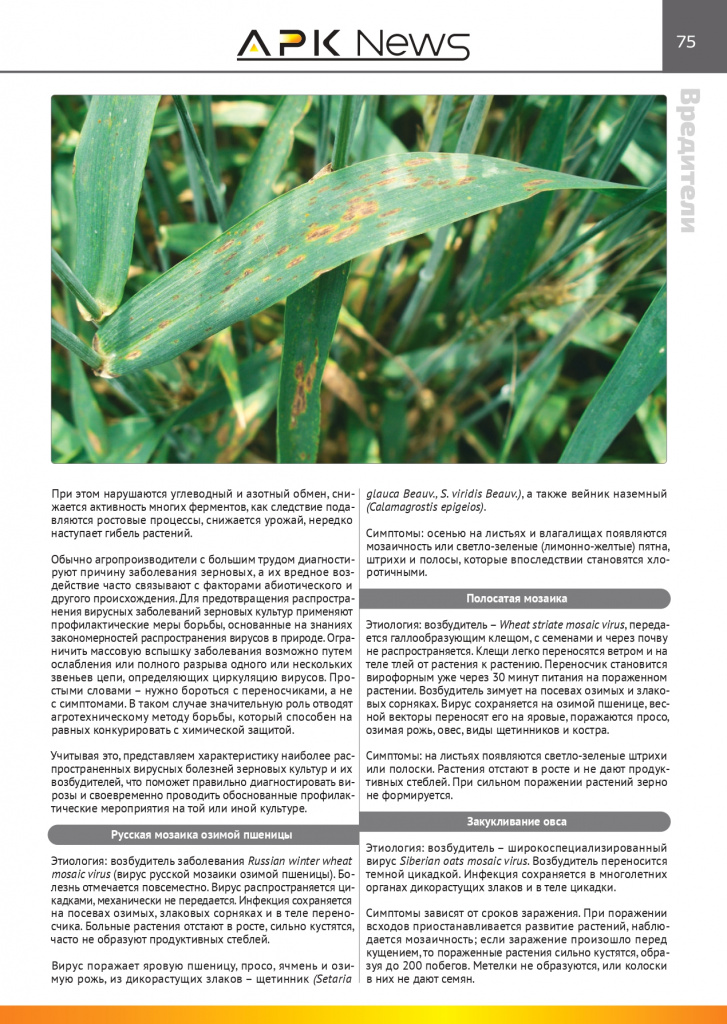 6. Ценр Москва журнал APK News №53 (1)_page-0002.jpg