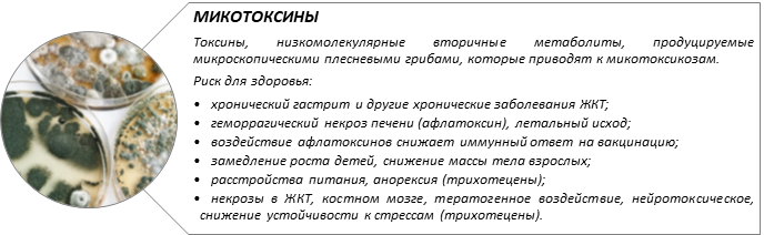 вставка 2.png